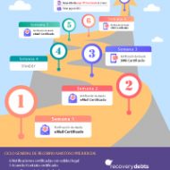 enlace-diagrama-ciclo-general