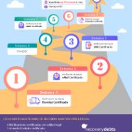 enlace-diagrama-ciclo-mixto